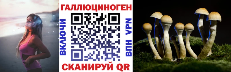 Купить где  Сосновка  Псилоцибиновые грибы прущие грибы 